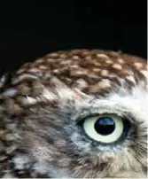 Rapportage BGV enquête inzake VVC vakvernieuwingscommissie)